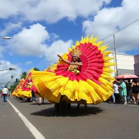 carnaval Rio Preto Araçatuba